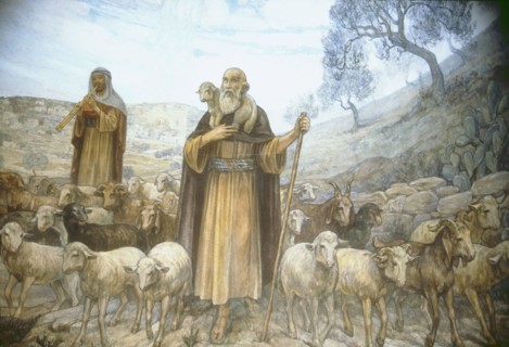 Shepherd's fields, Bethlehem