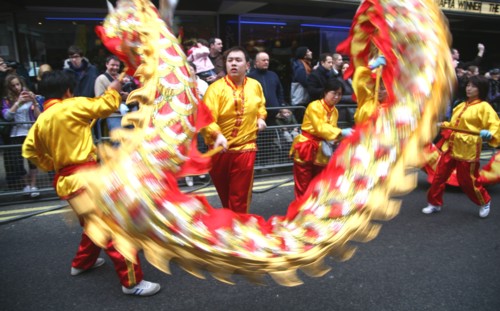 Chinese new year dragon