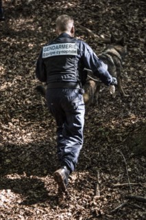 French gendarmerie, 2016