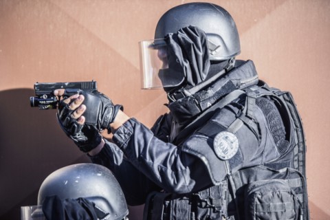 Policiers du RAID, 2016