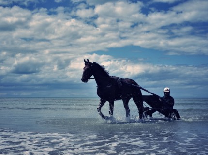 Sulky sur une plage de Cabourg, 2019