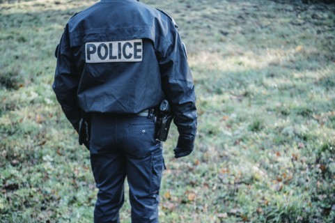 Police Nationale, 2020