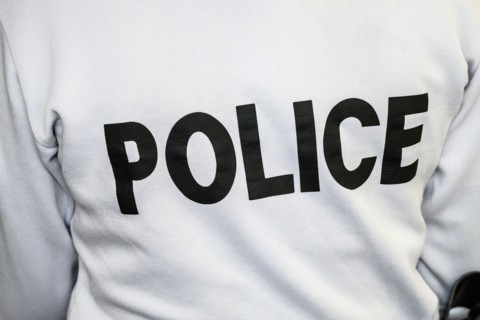 Police Nationale, 2024