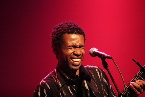 Mikidache, 2006