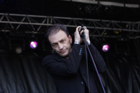 Daniel Darc, 2008