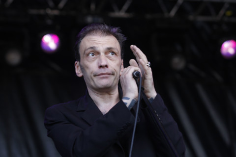 Daniel Darc, 2008