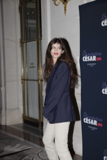 Maiwenn Le Besco, 2011