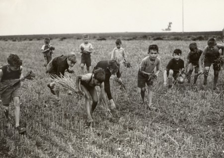 Little gleaners