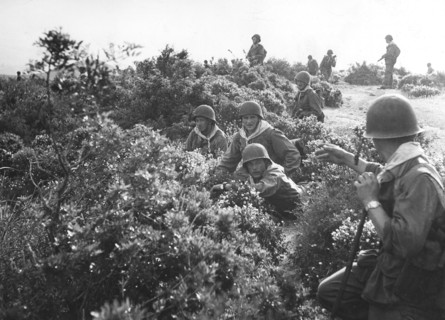 Opérations militaires pendant la Guerre d'Algérie (1956)