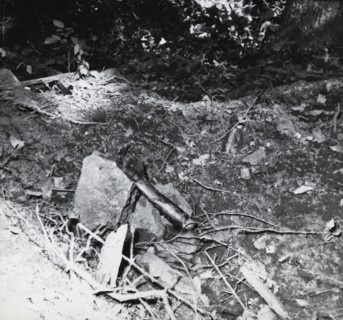 Atrocités de la guerre d'Algérie