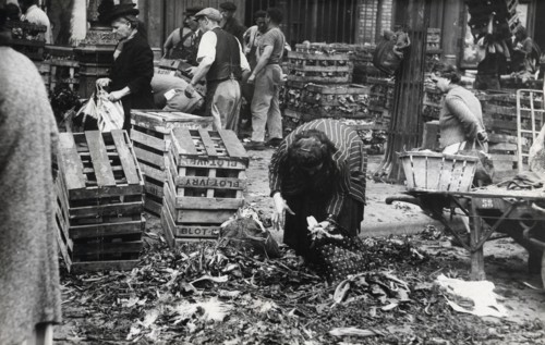 Woman picking up litters from the ground after the market