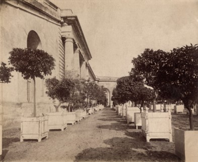 Atget, The Versailles Orangerie