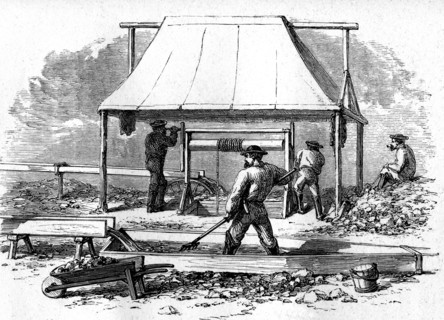 Extraction et lavage de l'orn 1866
