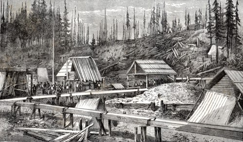 Gisement d'or de Cameron au Canada, 1866