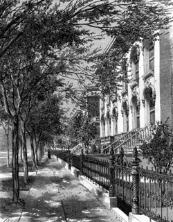 Avenue in Chicago