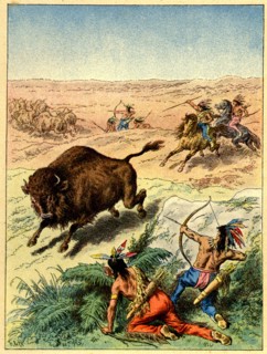 La chasse au bison