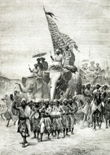 Procession militaire royale (Sowari) en Inde