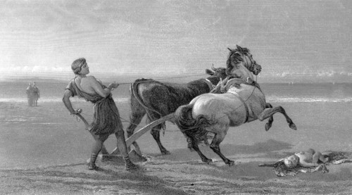 ULYSSE laboureur