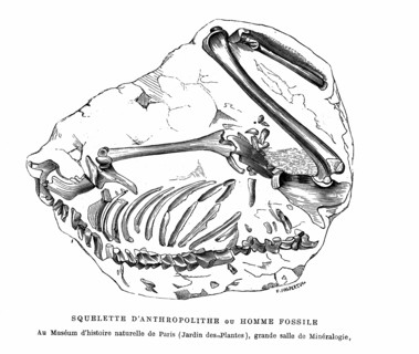 Anthropolithe skeleton or fossil man. From " The Universe before mankind " by M. Boitard.
Paris