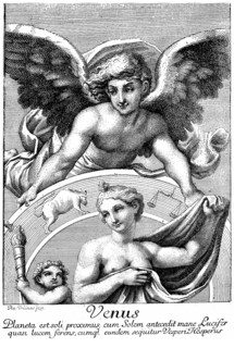 Venus in the Zodiac