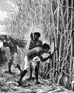 Rubber hunters in Brazil