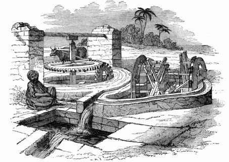 Irrigation system in Egypt in 19th century