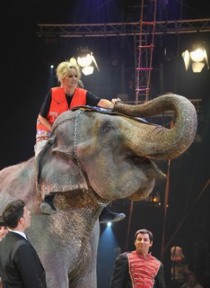 Adriana Karembeu, 2011