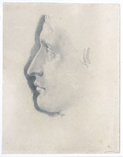 Etude d'un profil de Napoléon