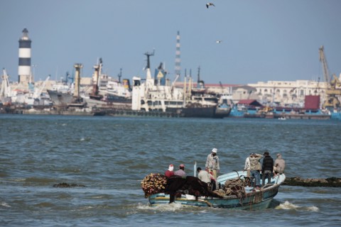 Alexandrie, pêcheurs du delta du Nil