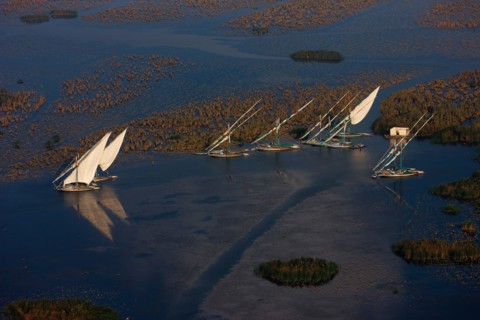 Felouques sur le delta du Nil
