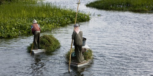 Transport des récoltes agricoles sur le delta du Nil