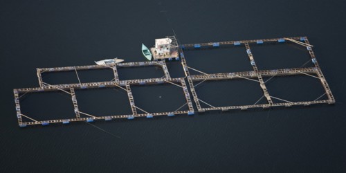 Delta du Nil