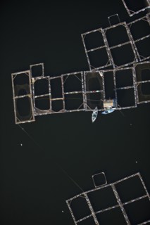 Delta du Nil