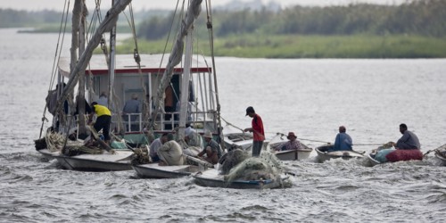 Pêcheurs du delta du Nil