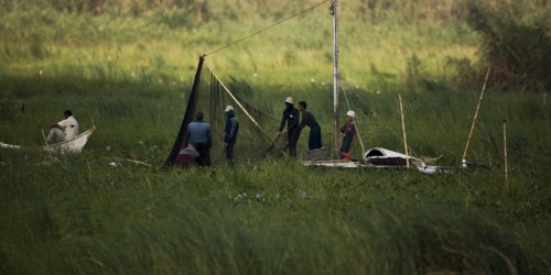 Pêcheurs du delta du Nil