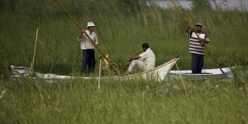 Pêcheurs du delta du Nil