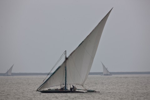 Felouques sur le delta du Nil