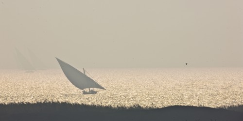 Felouques sur le delta du Nil