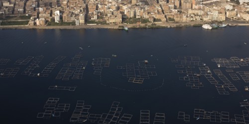 Delta du Nil