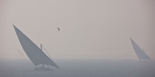 Felouques sur le delta du Nil