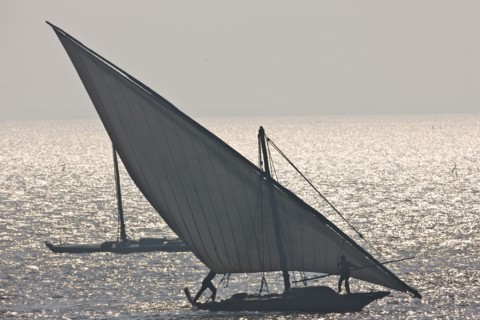 Felouques sur le delta du Nil