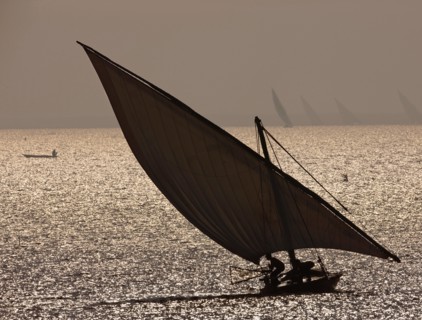 Felouques sur le delta du Nil