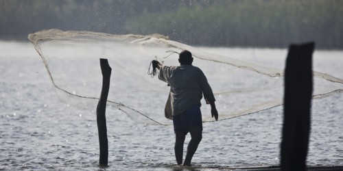Pêcheurs du delta du Nil