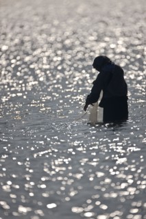 Pêcheurs du delta du Nil