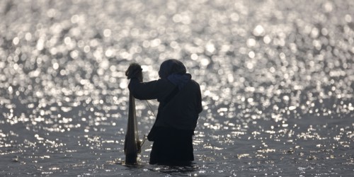 Pêcheurs du delta du Nil