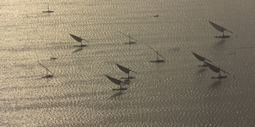 Felouques sur le delta du Nil