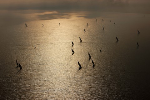 Felouques sur le delta du Nil