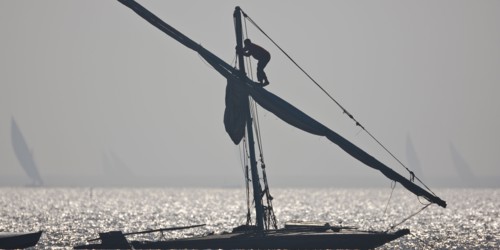 Felouques sur le delta du Nil