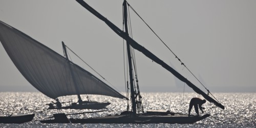 Felouques sur le delta du Nil