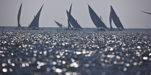 Felouques sur le delta du Nil